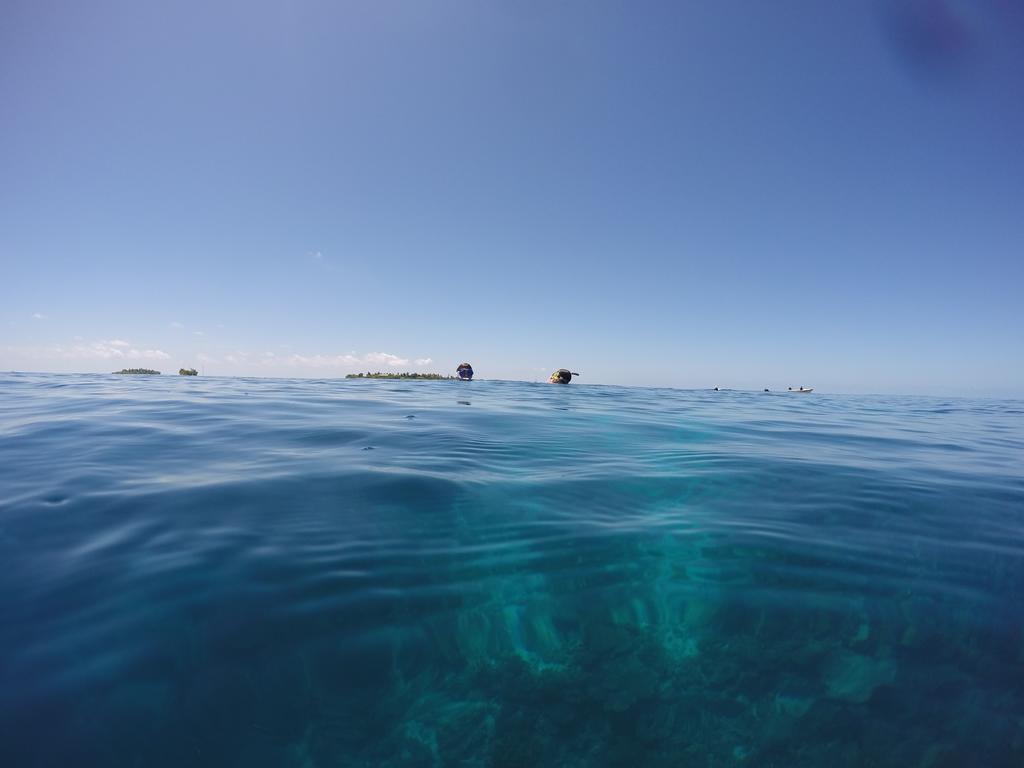 מלון הורה Maldives Seashine מראה חיצוני תמונה