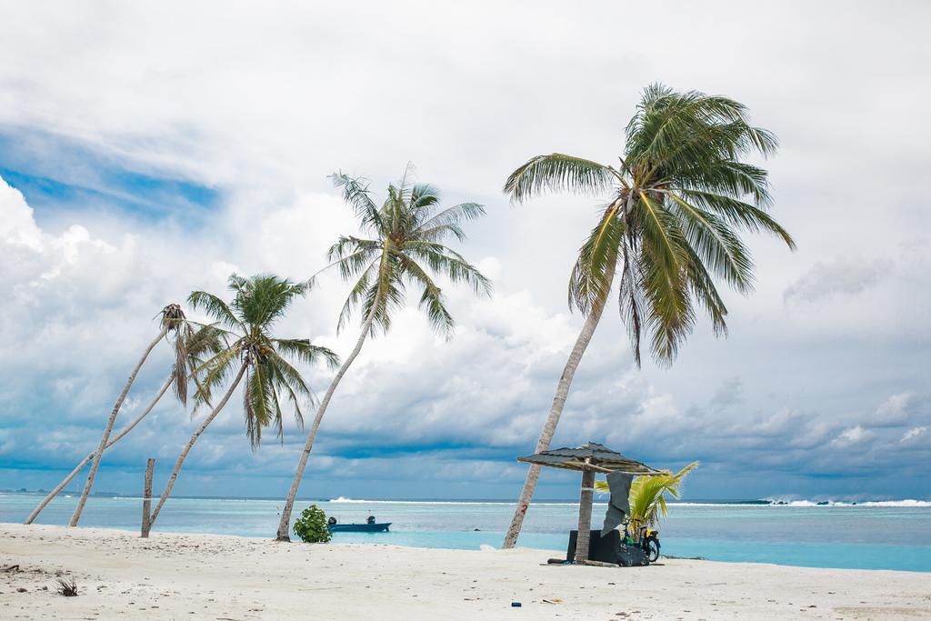 מלון הורה Maldives Seashine מראה חיצוני תמונה